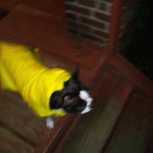 Meet your Posher, Kerry